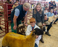 Longtown Mart Young Handlers sponsored by Farmers Guardian - 8th August 2024-13-4